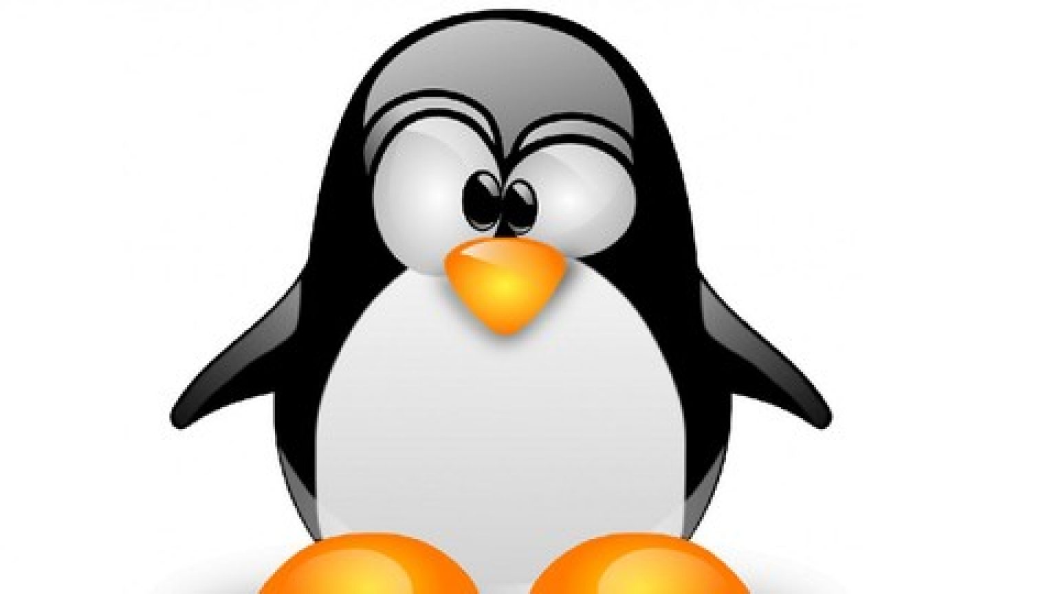 Линукс в школах. Тукс линукс. ОС Linux Тукс. Логотип линукс. Linux logo.