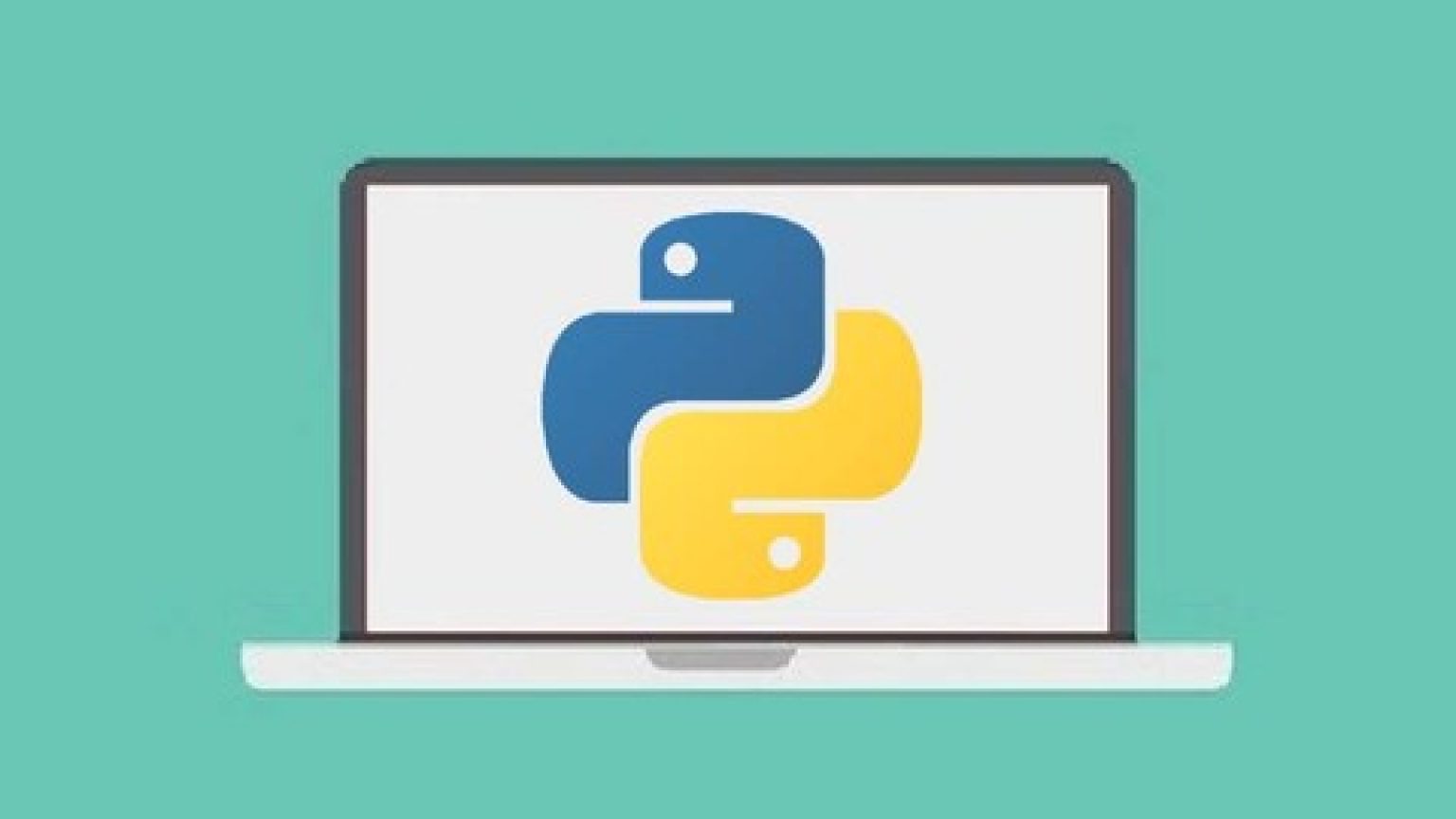 Python from. From Python. Python курс. Курсы Python. Learn Python the hard way.