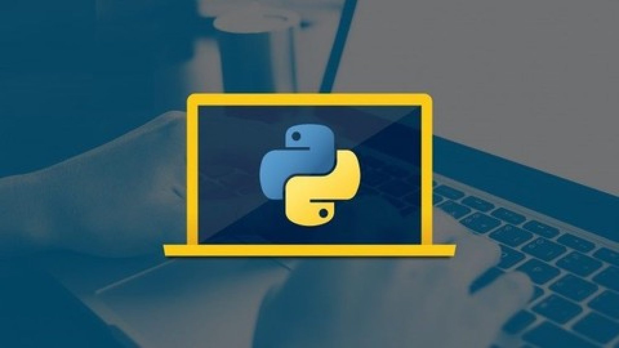 Python crash course. Пайтон краш. Питон краш Мем. Python crash course 1nd Edition.