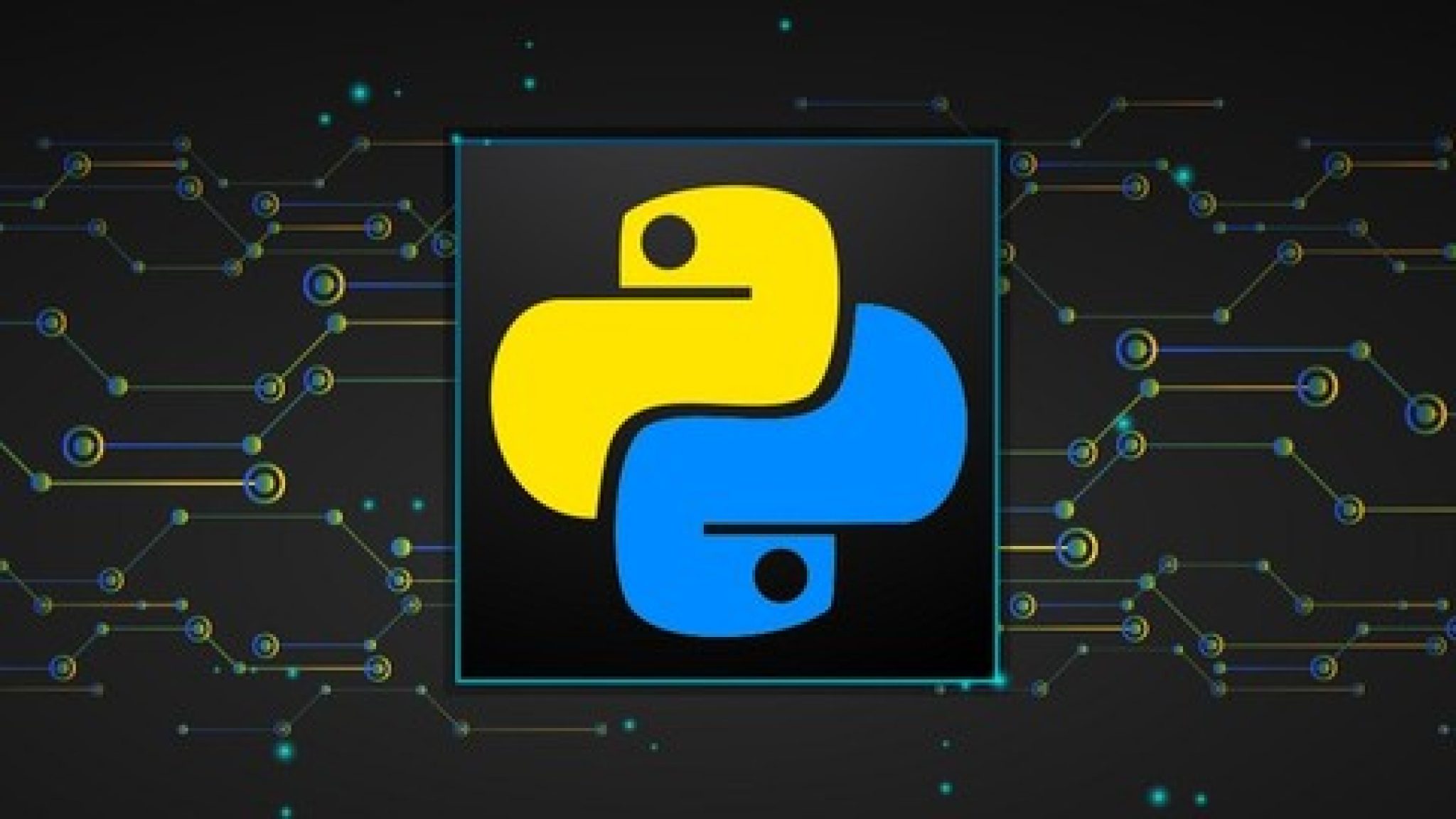 Python изображения. 3d программирование логотип. Python logo. 3д лого Python. Кодинг иконка.