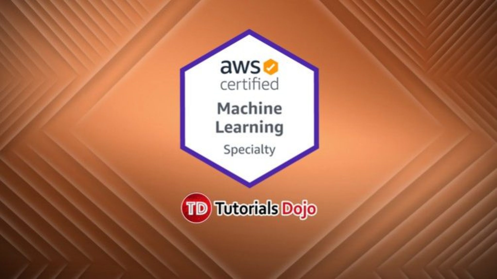 AWS-Certified-Machine-Learning-Specialty Certification Test Questions