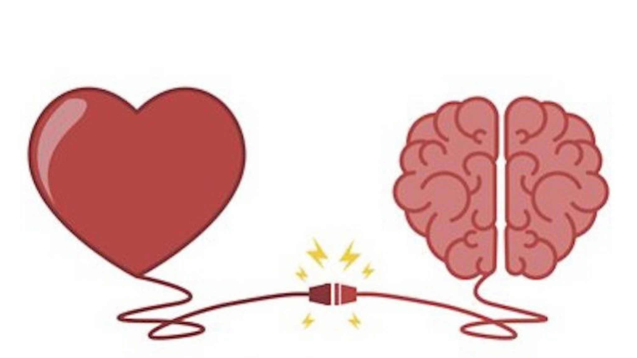 Мозг и сердце картинки7