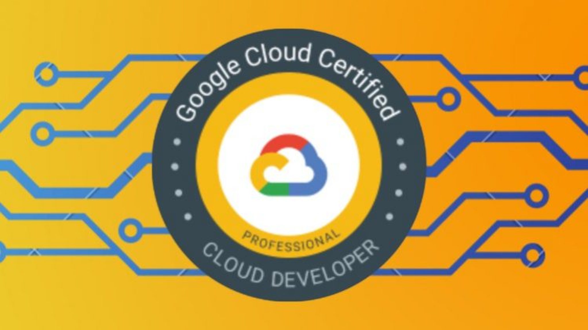 Professional-Cloud-Developer Online Prüfungen