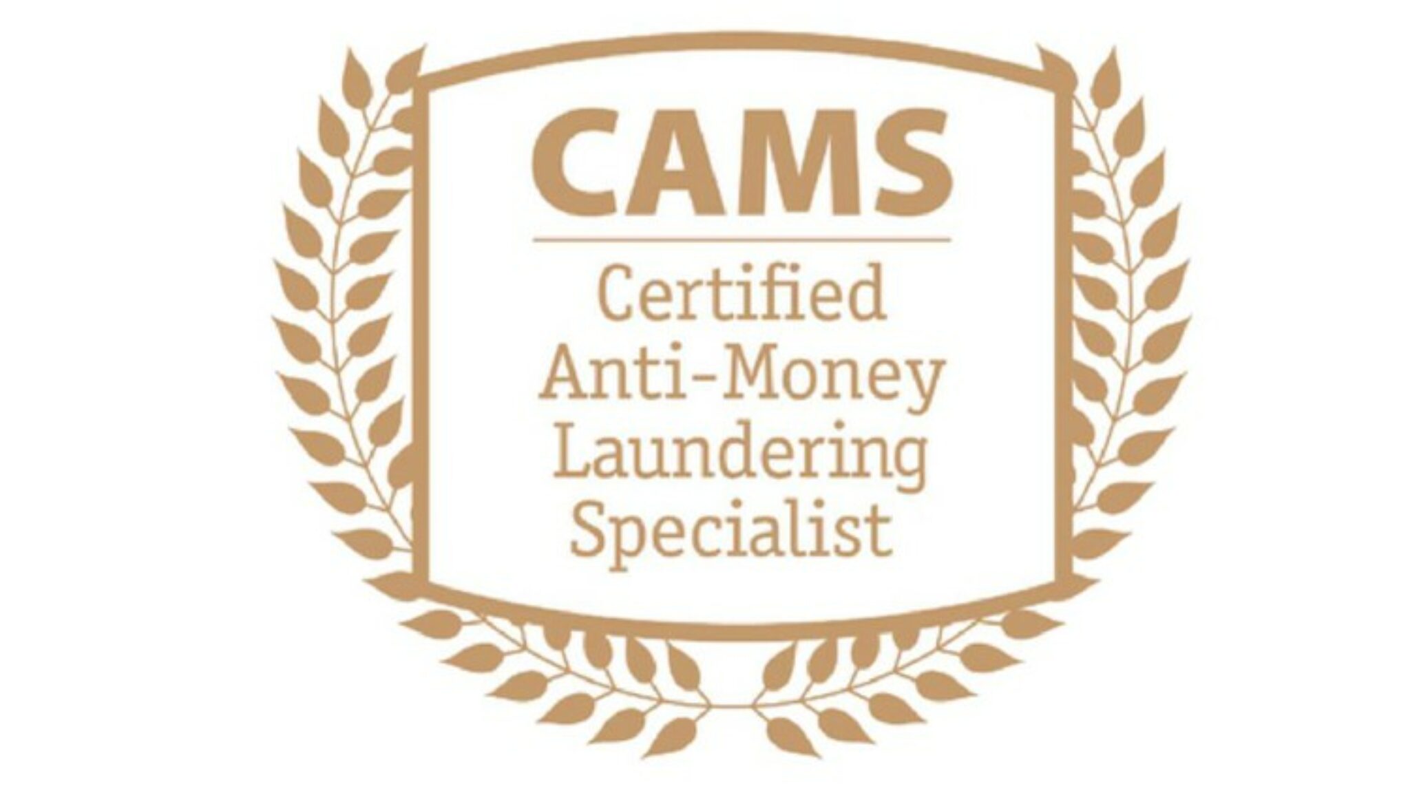 What Is A Certified Anti Money Laundering Specialist